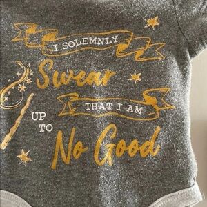 Warner Bros. Gray and Gold Bodysuit